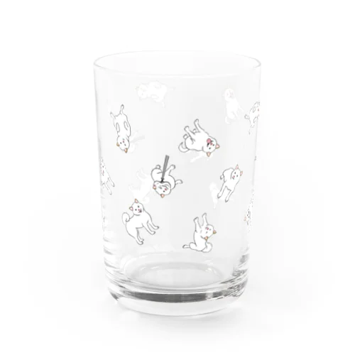 白柴いっぱい Water Glass