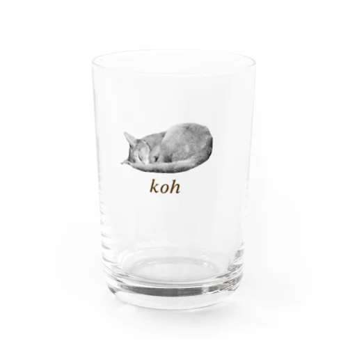 koh's Area Water Glass