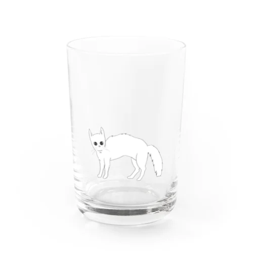 いかくするネコ Water Glass