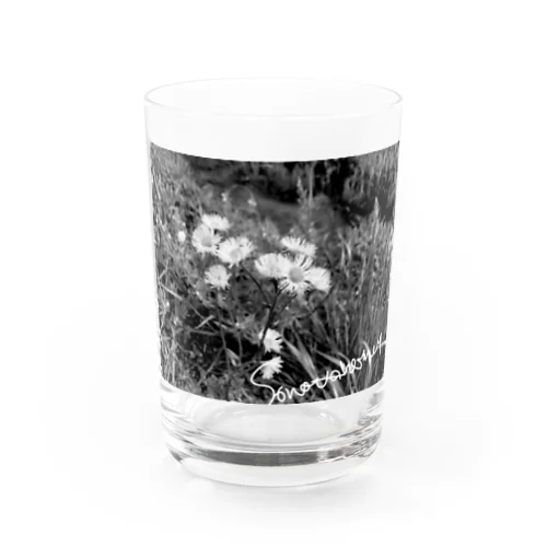 SONOTANOFLOWER Water Glass