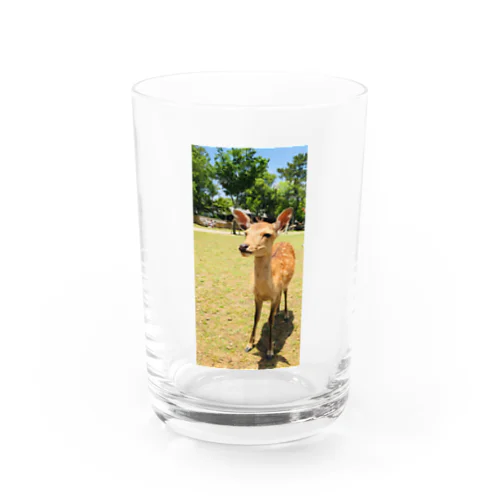 こじか2 Water Glass