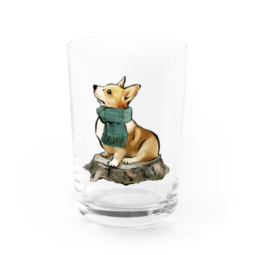 マフラー犬　コーギー Water Glass