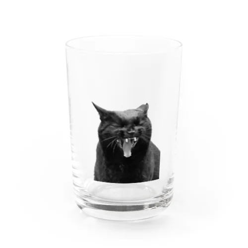 黒猫がぎゃー Water Glass