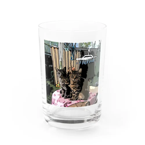 ねこ 仲良し3兄弟 Water Glass