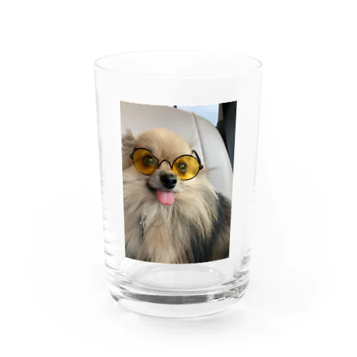 momo Water Glass