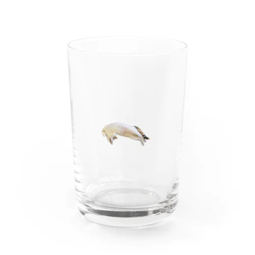 空飛ぶ猫 / フライングヤーヨ Water Glass