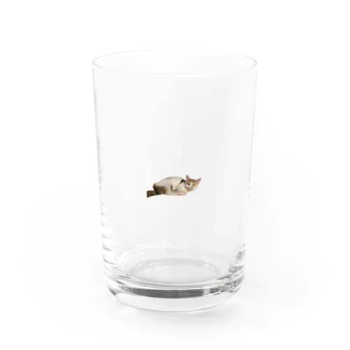 かんがえる猫 / ニャーニャー Water Glass