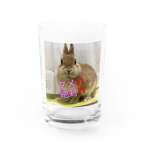 きな子の戒めグラス Water Glass