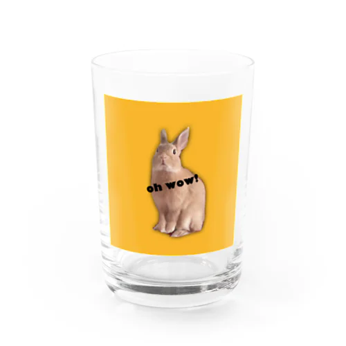 RAVI the rabbit Water Glass