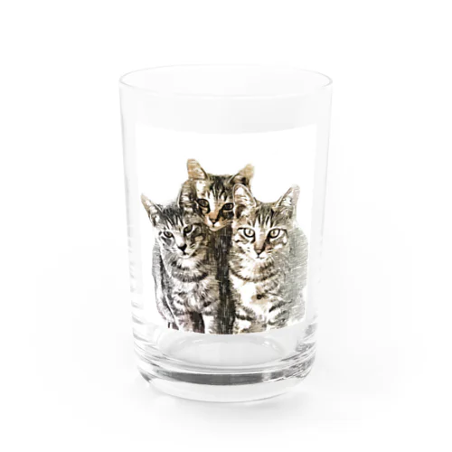 猫 仲良し三兄弟 Water Glass