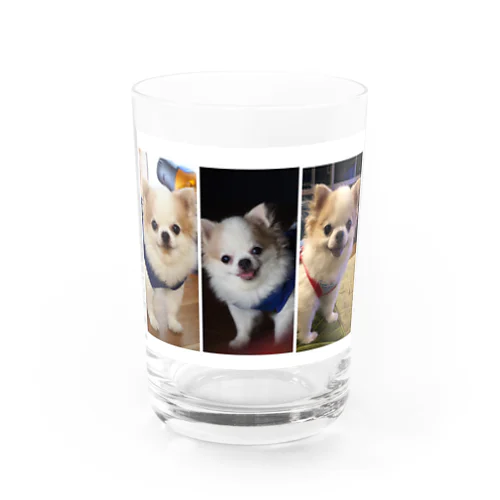 たくわんグッズ5 Water Glass