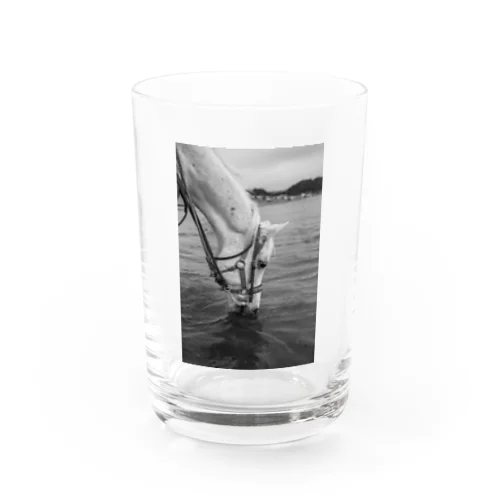 白い馬　ビーチ　白黒写真 グラス