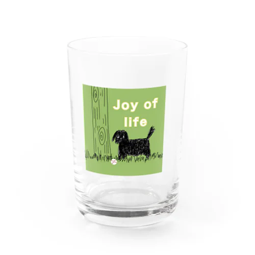 Joy of life Water Glass