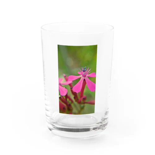 幸せのぴんくFlower Water Glass