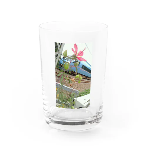 ハイビスカスとロマンスカー! Water Glass