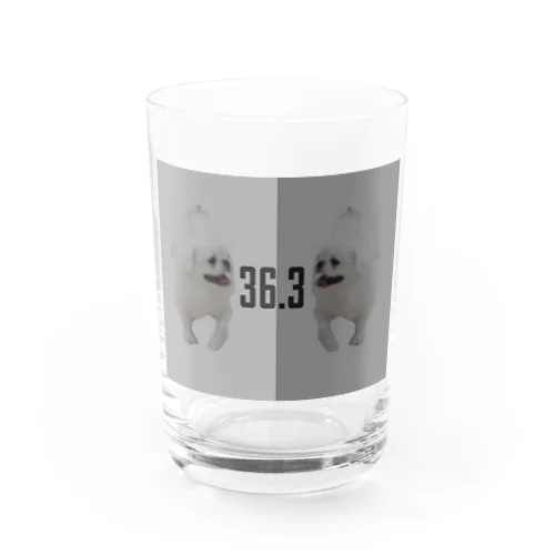 36.3 モノクロペキちゃん Water Glass