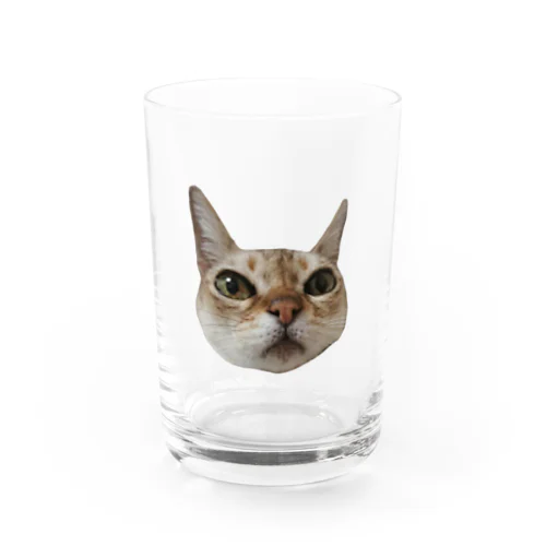 おこじょ顔 Water Glass