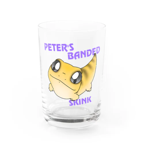 ピーターズバンデッドスキンク Water Glass