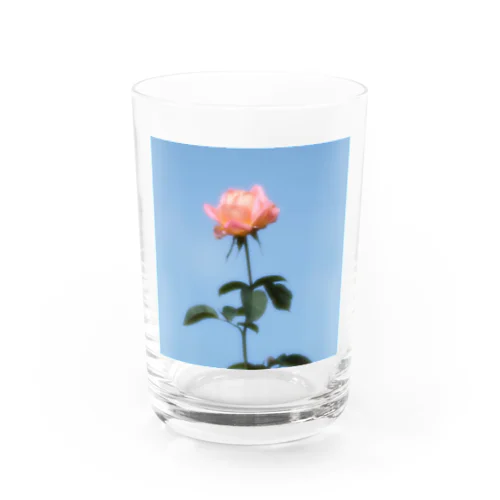 秋空の薔薇お写真んぽ Water Glass