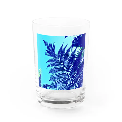 ヘゴシルエット Water Glass