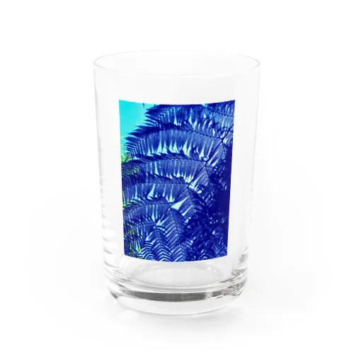ヘゴシルエット Water Glass