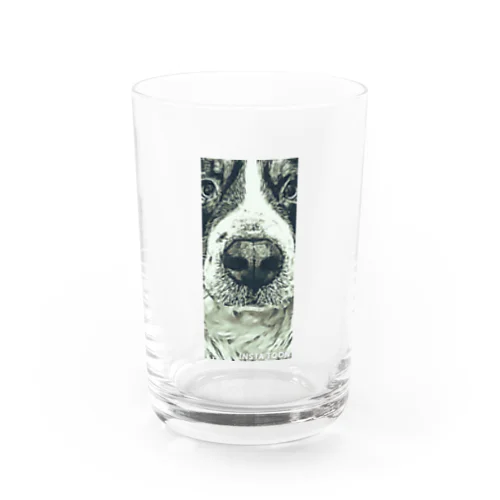 リトルバーニー Water Glass