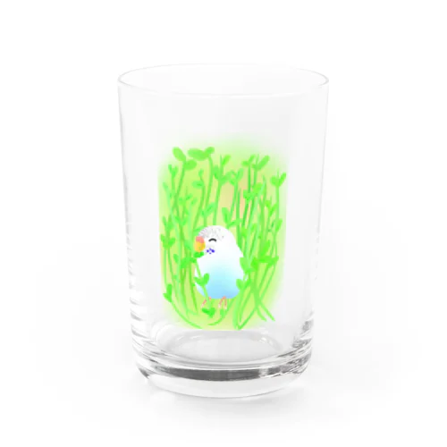 豆苗まみれのセキセイちゃん Water Glass