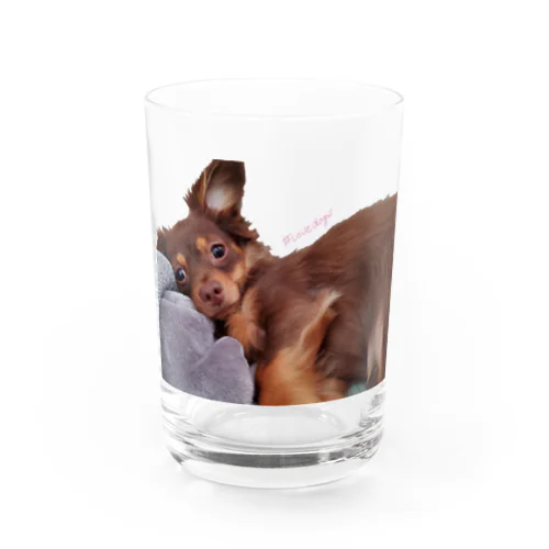 #Lovedogs Water Glass