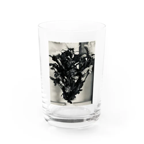 hana Water Glass