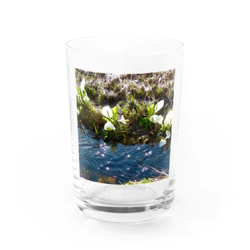 MachiDuck Green06 Water Glass