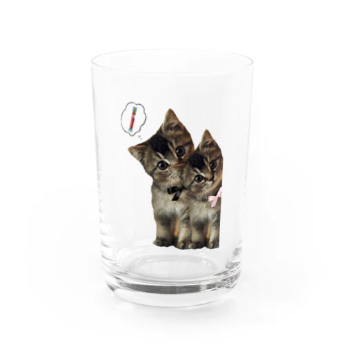 仔猫ねこねこ Water Glass