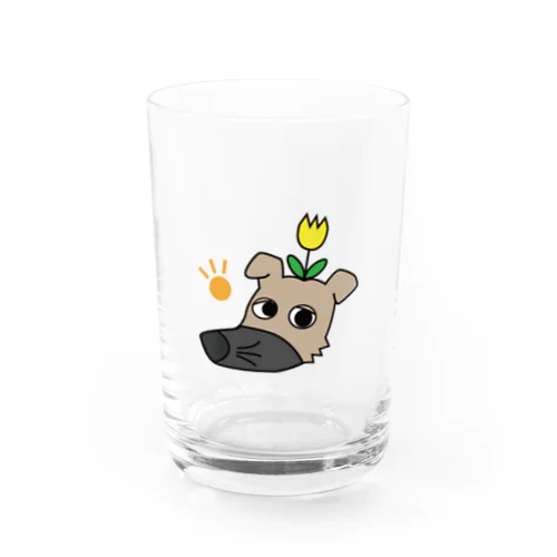 残念犬「たろう」のどかな春1 Water Glass