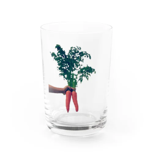 carrot 2 Water Glass