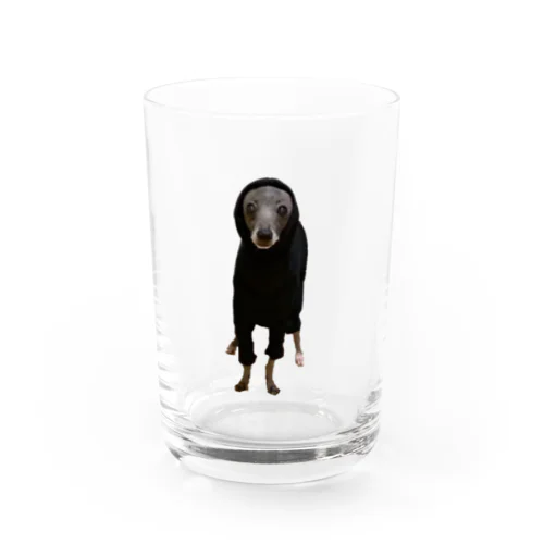 新しい服が気に入らなくて全部やめた犬 Water Glass