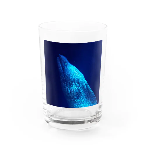 海の生き物シリーズ　うつぼちゃん グラス