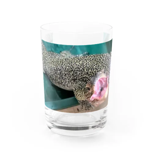 おミズぐっず(マングローブオオトカゲ) Water Glass