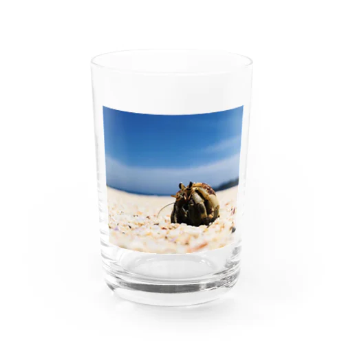 インドネシアのビーチにいたヤドカリ グラス
