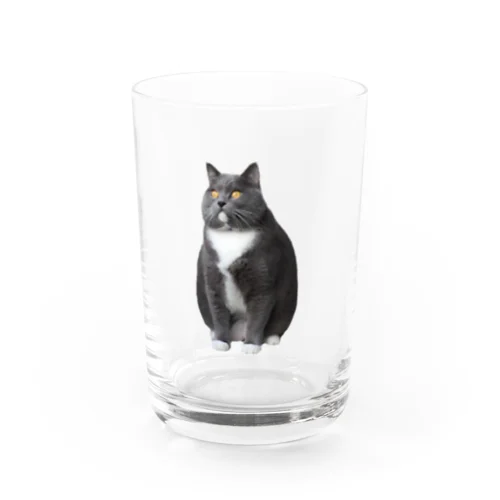 だる松くん Water Glass