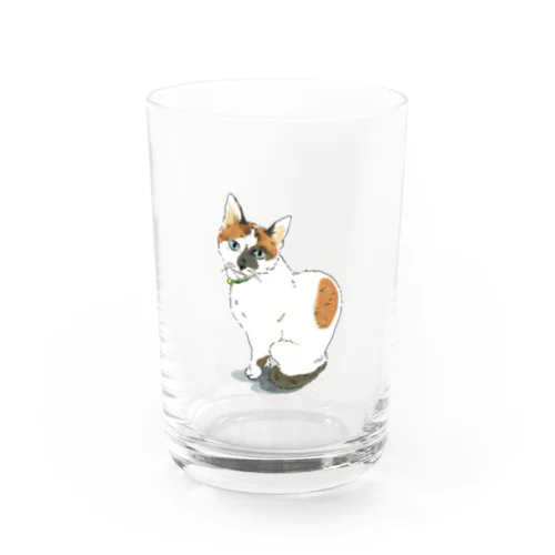 三毛猫　ねこ グラス