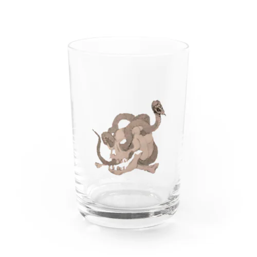 ☠SKULL Snake🐍 Water Glass