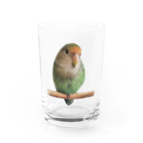 ふくろうの血を継ぐ者 Water Glass