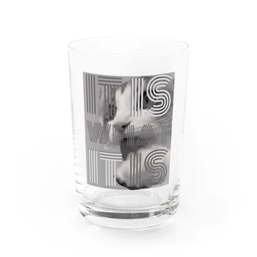 It is what it is JILLモデル Water Glass