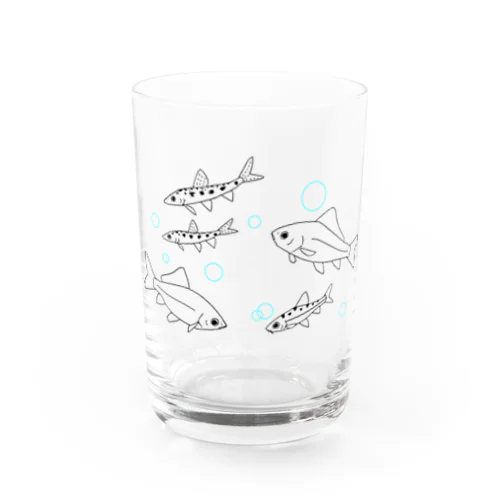 びわふなず Water Glass