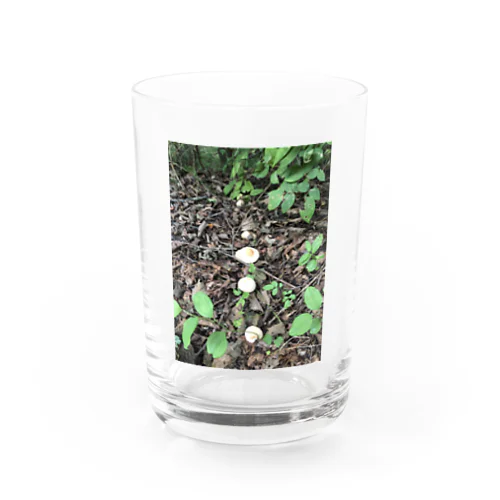 mashラインup Water Glass