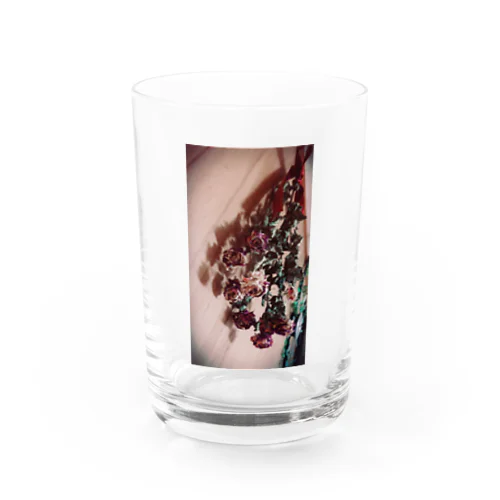 Dried flower Water Glass