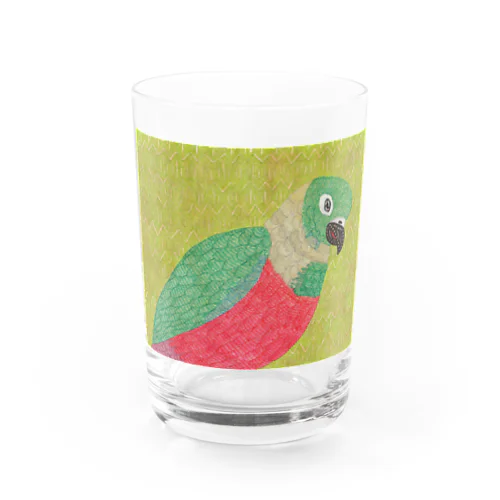 アカハラウロコインコ Water Glass