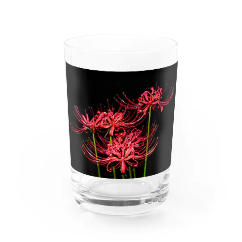 紅花 Water Glass