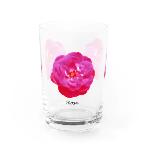 バラＢ－TFNT Water Glass