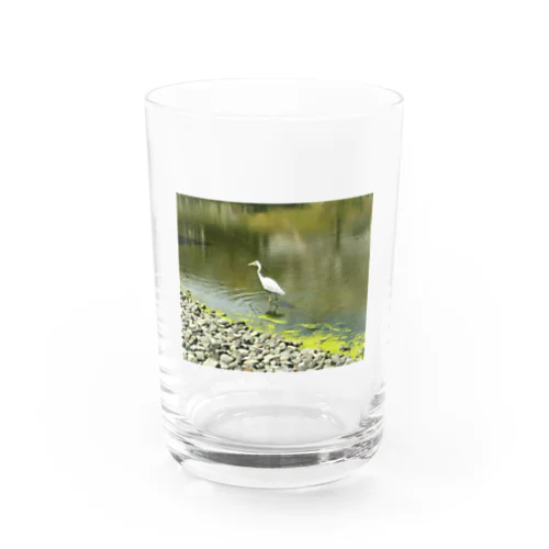 サギ Water Glass