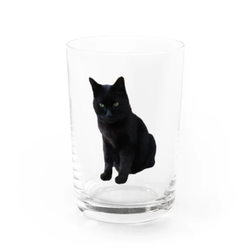 黒猫のふくちゃん Water Glass